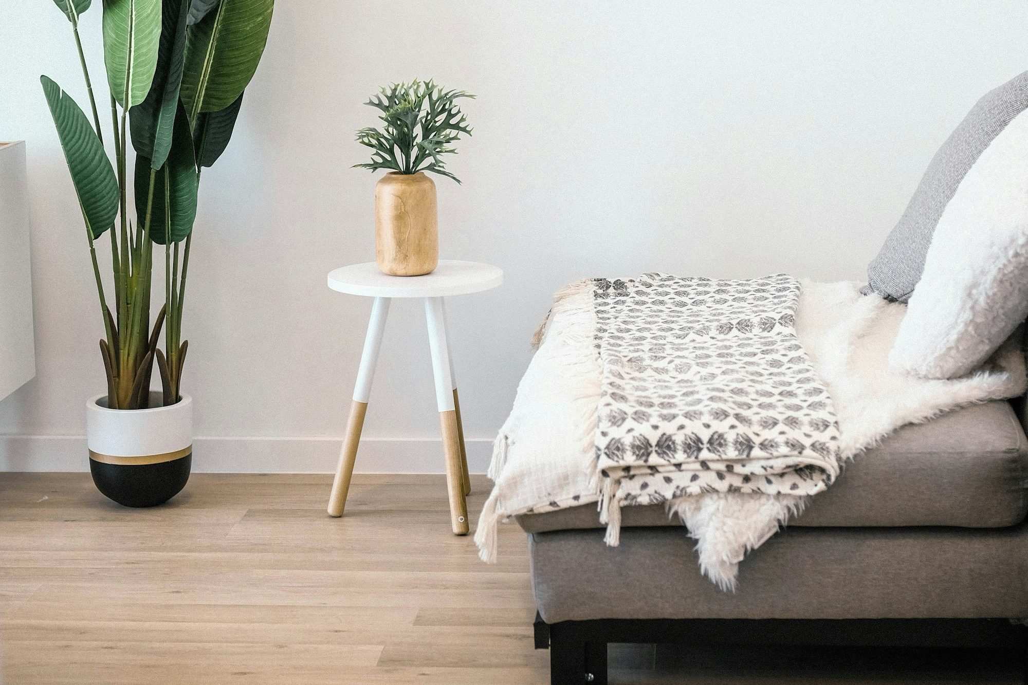 Ljust rum med få saker: en soffa, ett litet bord och växter.